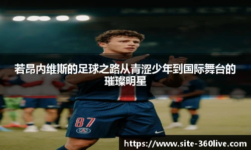 若昂内维斯的足球之路从青涩少年到国际舞台的璀璨明星